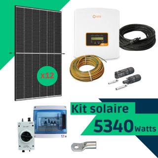 Kit solaire autoconsommation 5340 Watts (DMEGC 445 et onduleur Solis) monophasé