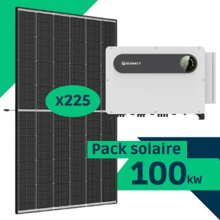 Pack Solaire 100kW - DMEGC 445 Bifacial + Growatt 100kW